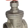 New-Line 316 Stainless Steel Gate Valve
