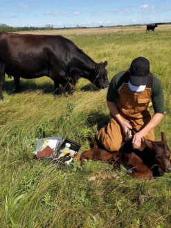 Tough Duck WB04 Deluxe Unlined Bib Overall | S-5XL