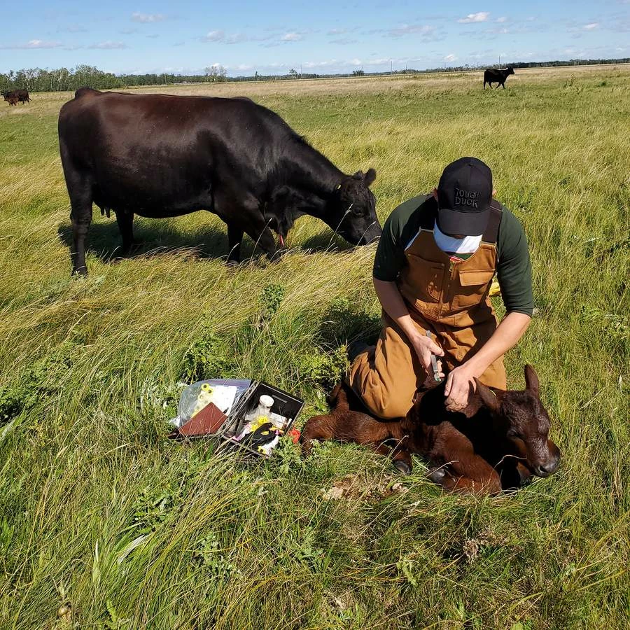 Tough Duck WB04 Deluxe Unlined Bib Overall | S-5XL