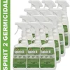 Zep Spirit II Germicidal RTU Cleaner - Case Of 12